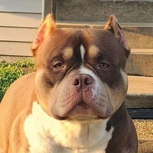 Meet your Posher, Steven